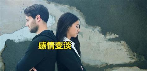 感情的事|男女间感情的真相是什么？